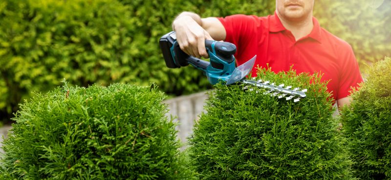 Seasonal Landscaping Services