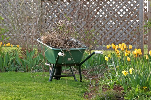Flower Bed Cleanup Service in Boerne