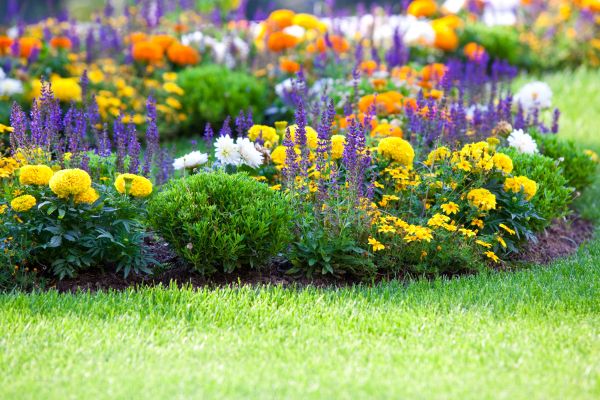 Flower Bed Maintenance in Boerne