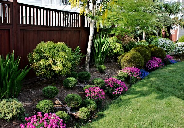 Garden Care Service in Boerne