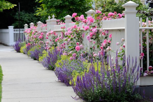 Garden Handyman Service in Boerne