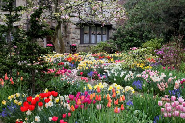 Garden Maintenance Service in Boerne