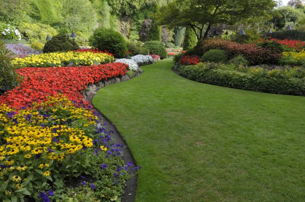 Landscaping Maintenance in Boerne
