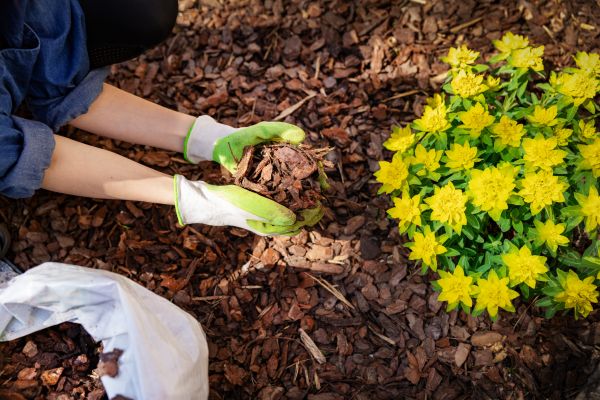 Pine Bark Delivery in Boerne