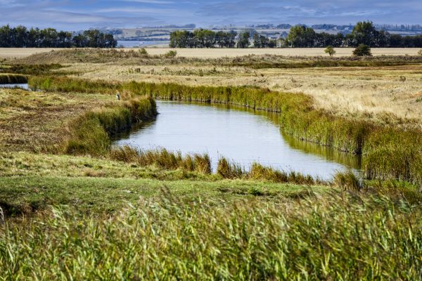 Swale Landscaping in Boerne