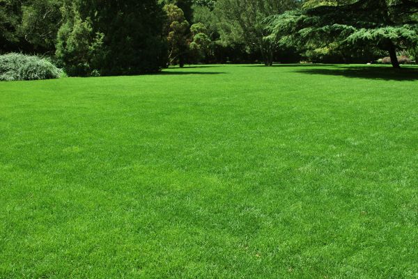 Lawn Landscaping in Boerne