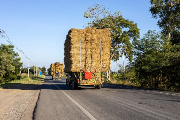 Pine Straw Delivery in Boerne