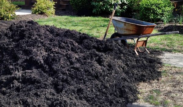 Black Mulch Delivery in Boerne