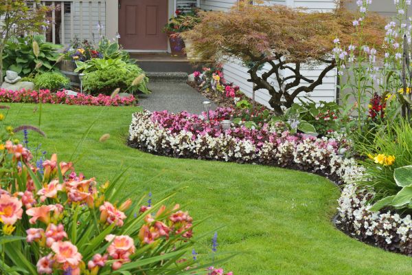 Perennial Landscaping in Boerne
