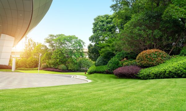 Business Landscape Design in Boerne