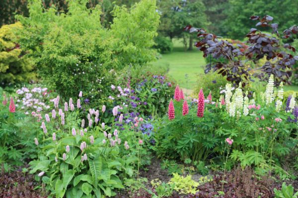 Flower Bed Planting in Boerne