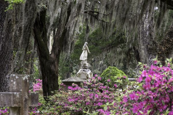 Cemetery Landscaping in Boerne