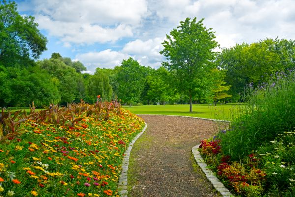 Park Landscaping in Boerne