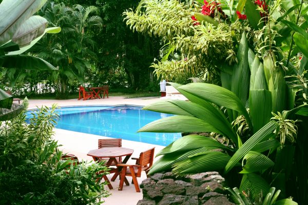 Tropical Garden Landscaping in Boerne