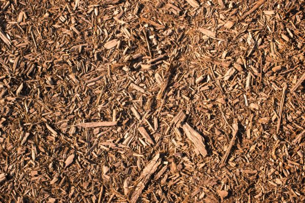 Wood Chips Removal in Boerne