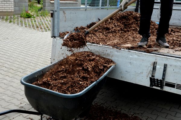 Cedar Mulch Delivery in Boerne