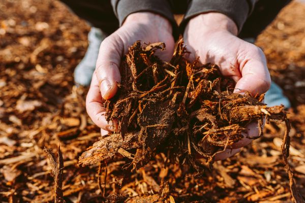 Bark Chips Delivery in Boerne