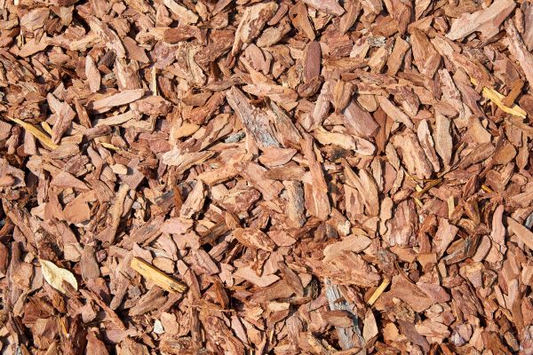 Pine Mulch Delivery in Boerne