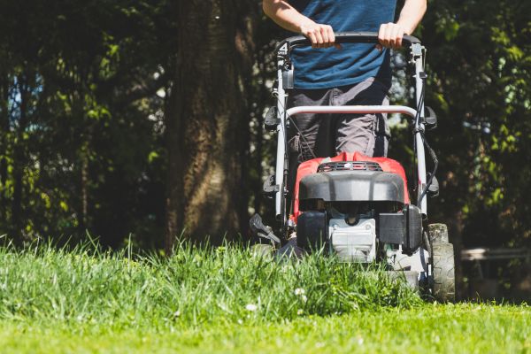 Garden Trimming Service in Boerne