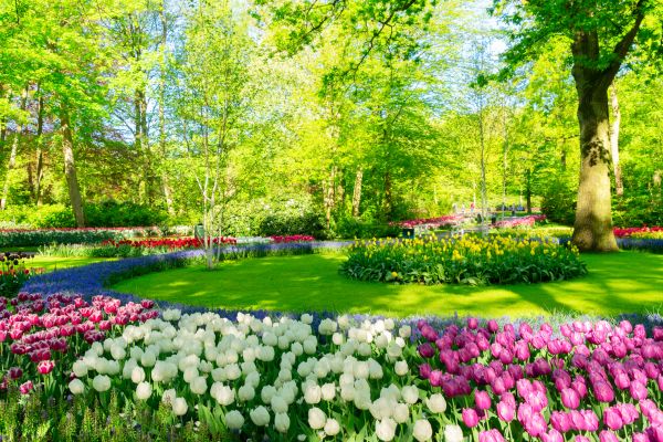 Flower Landscaping in Boerne