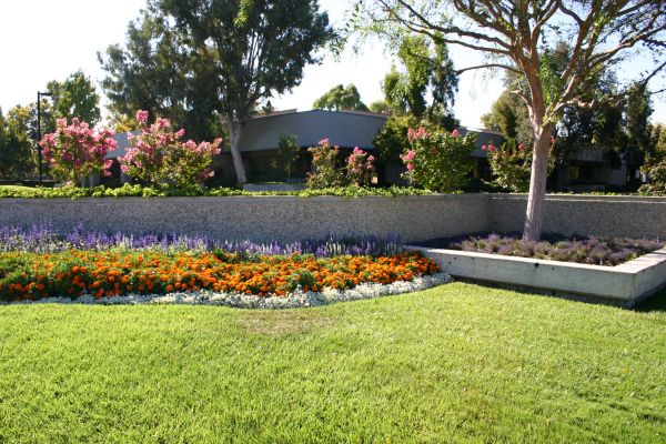 Commercial Landscape Service in Boerne