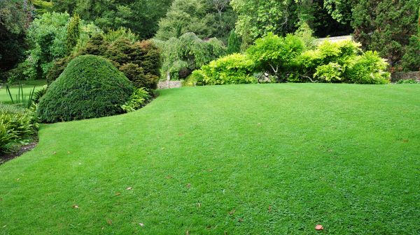 Commercial Landscape Design in Boerne