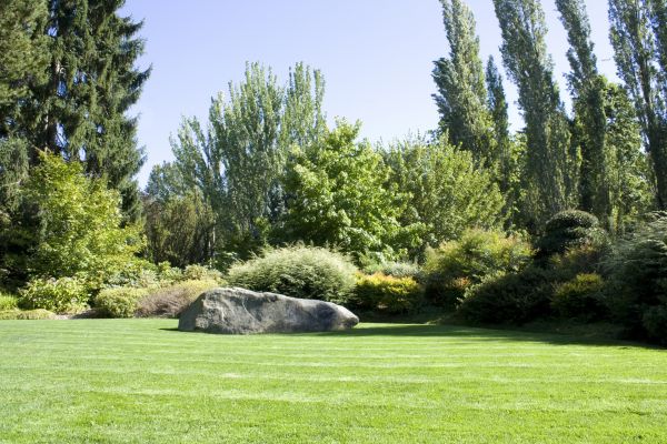 Yard Enlargement in Boerne