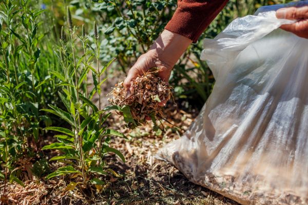 Wood Mulch Installation in Boerne