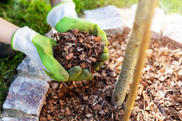 Tree Bark Delivery in Boerne