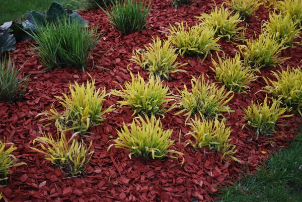 Red Mulch Installation in Boerne