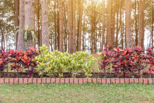 Small Garden Landscaping in Boerne