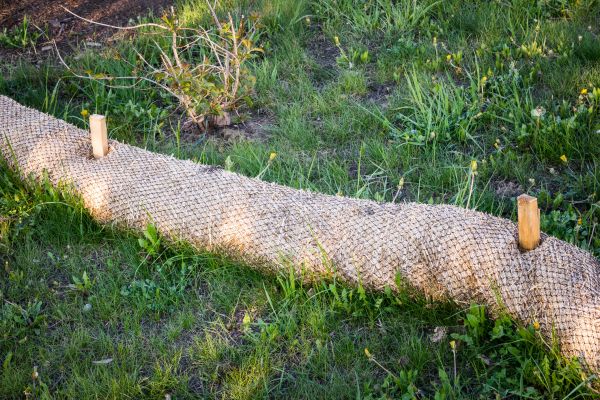 Wattle Installation in Boerne
