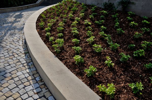 Commercial Mulching in Boerne